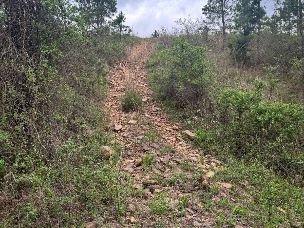 Point Remove Creek Spillway photo 5