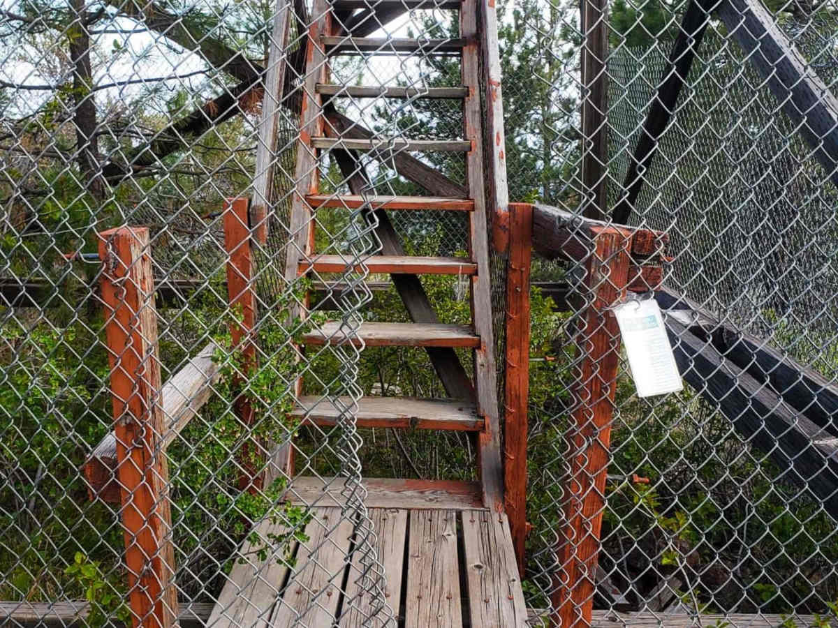 Bald Butte Lookout photo 6