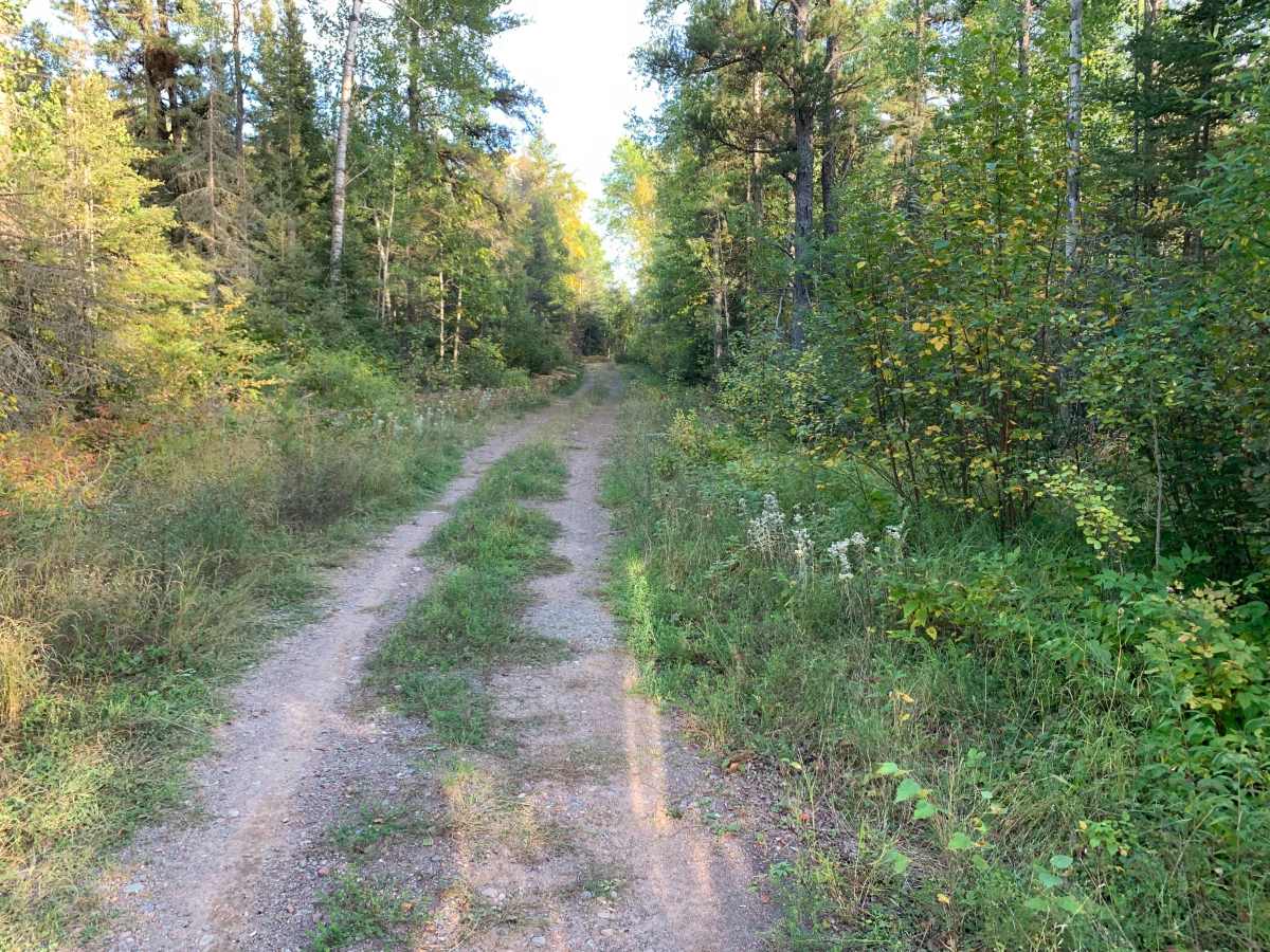 Frank Lake Trail - FS 1885 trail photo