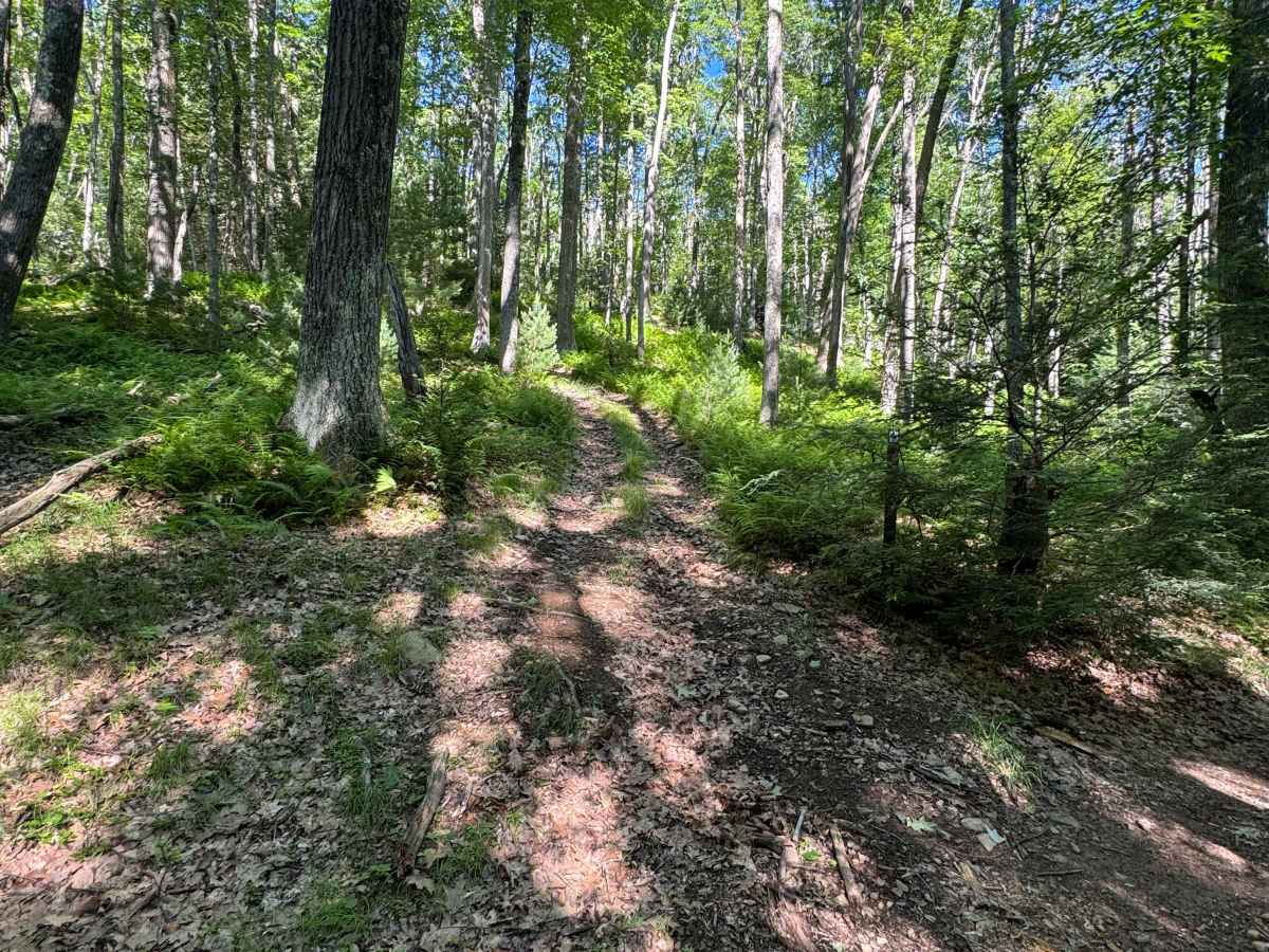Francis Trail Black Loop photo 2