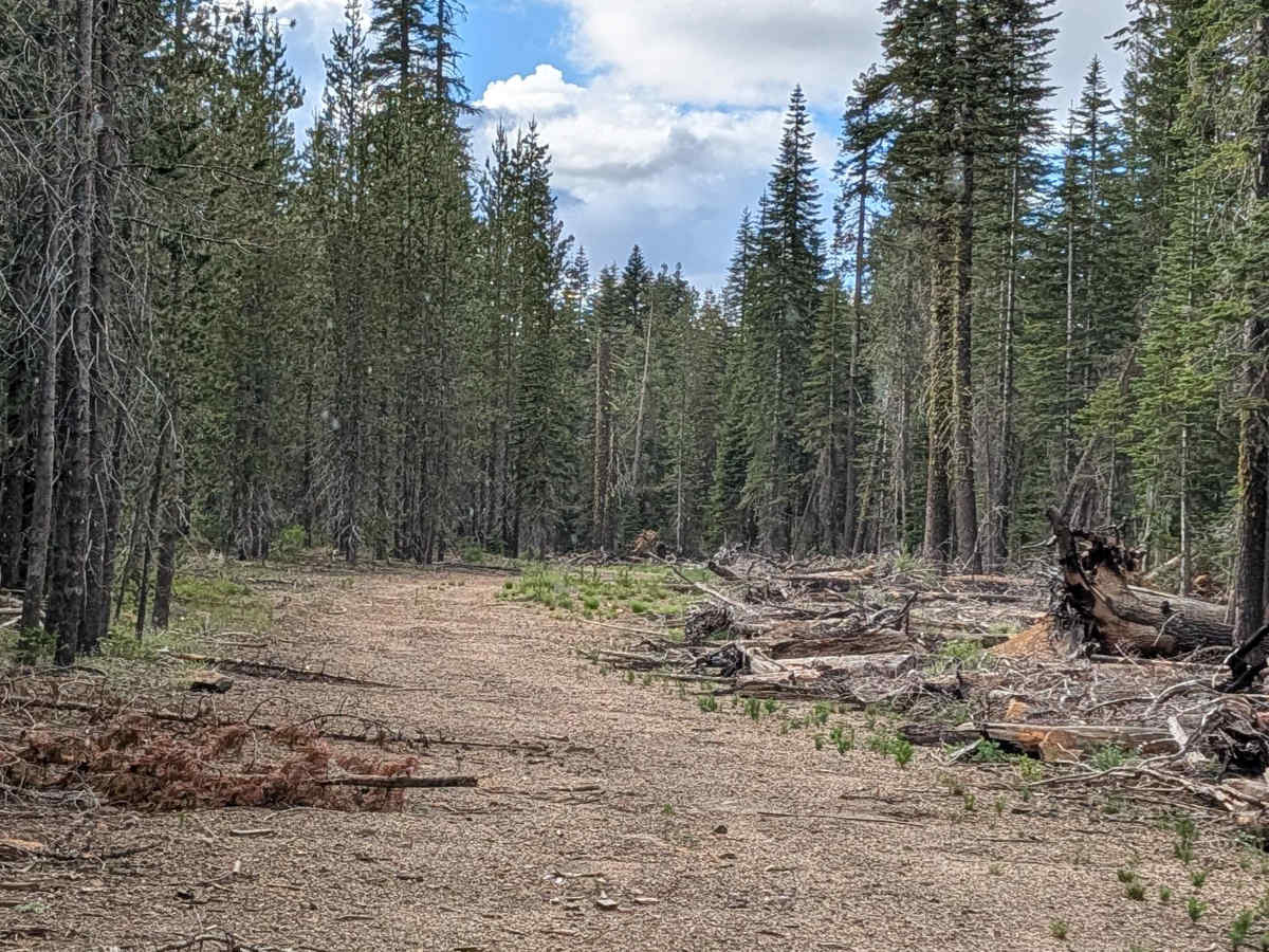 Lost Springs - FS 43N37 photo 6