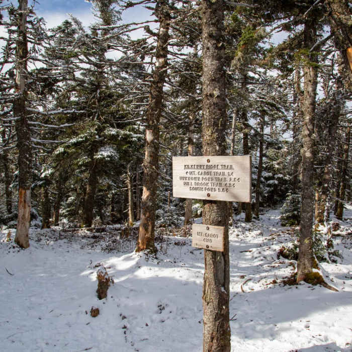Near Mount Cabot via Bunnell Notch Trail Near Mount Cabot via Bunnell Notch Trail