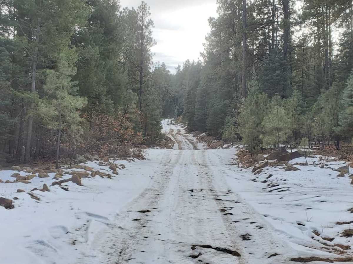 Ute Canyon photo 4
