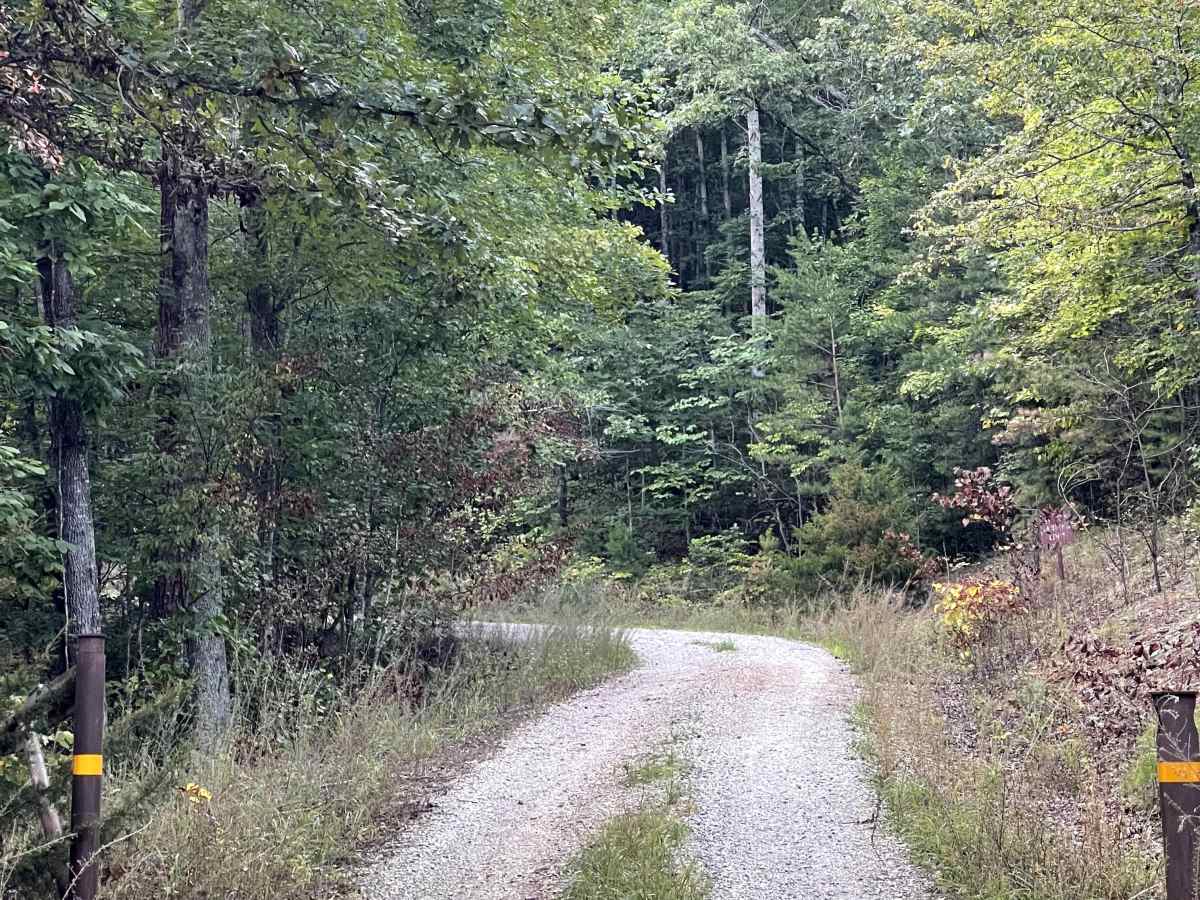 Mill Creek Road photo 4