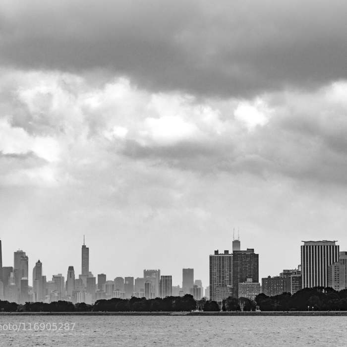 Near Montrose Park Beach Tour