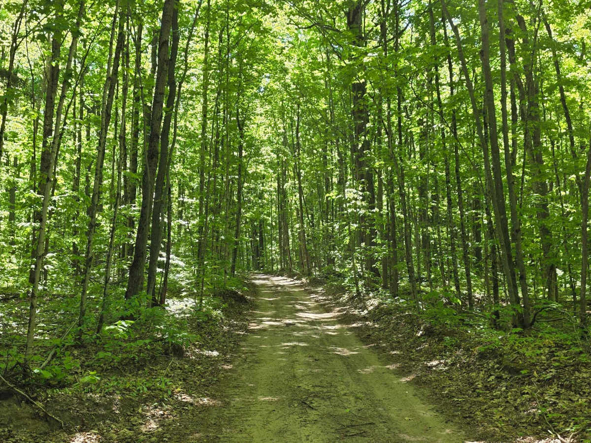 Ravine Road photo 3