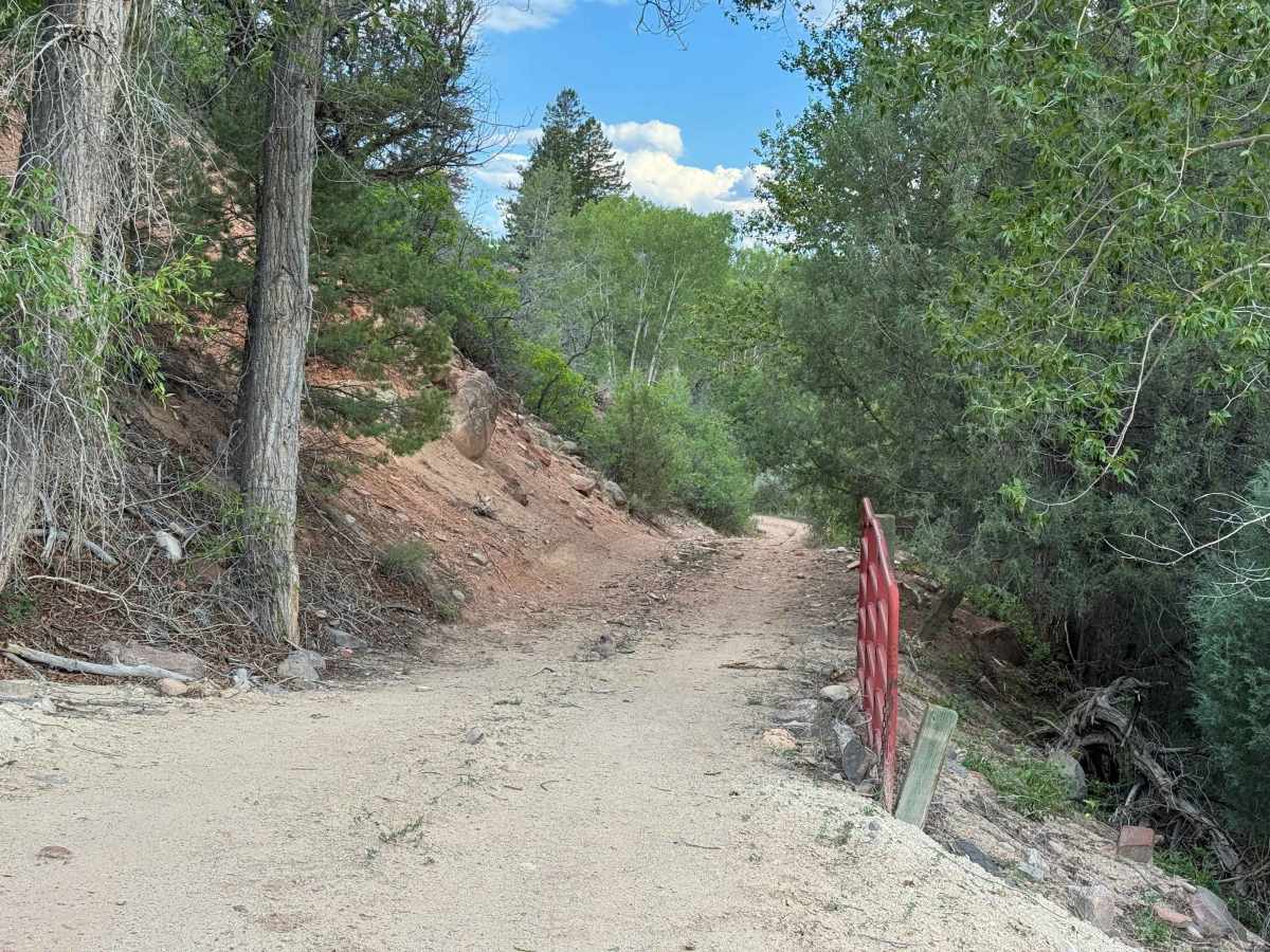 Red Dirt Basin Road - 611 photo 5