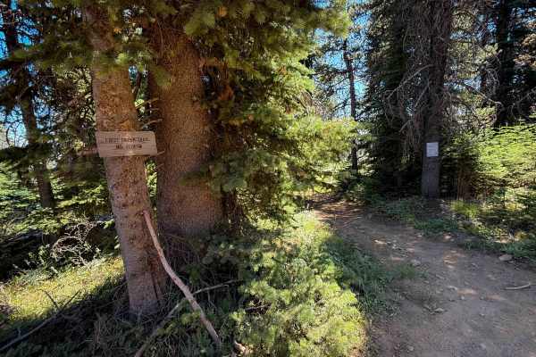 First Creek - FS 1374