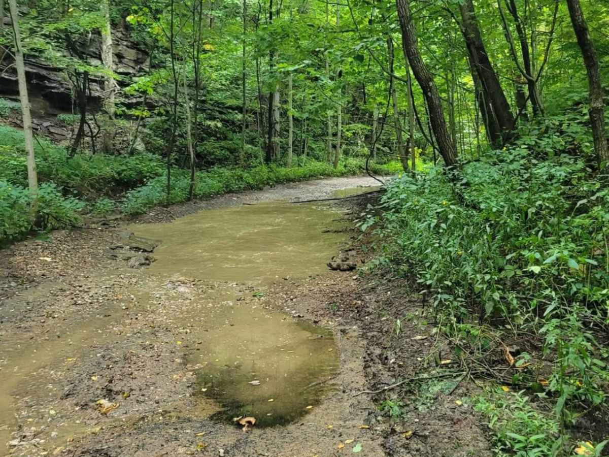 Trail 5 - Flat Gap photo 5