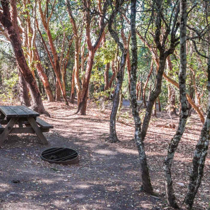 Near Saratoga Gap, Ridge Trail + Castle Rock Loop Hike