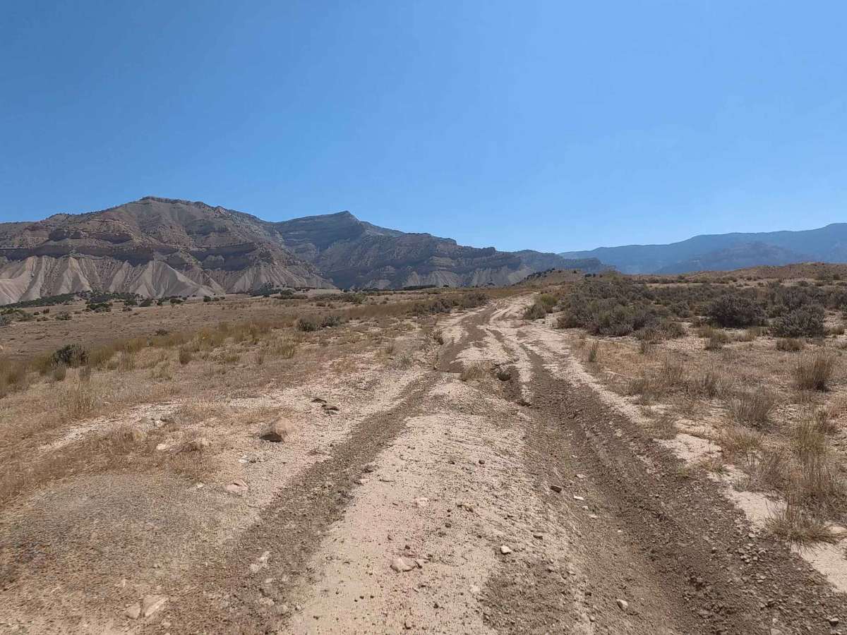 BLM 195 photo 2