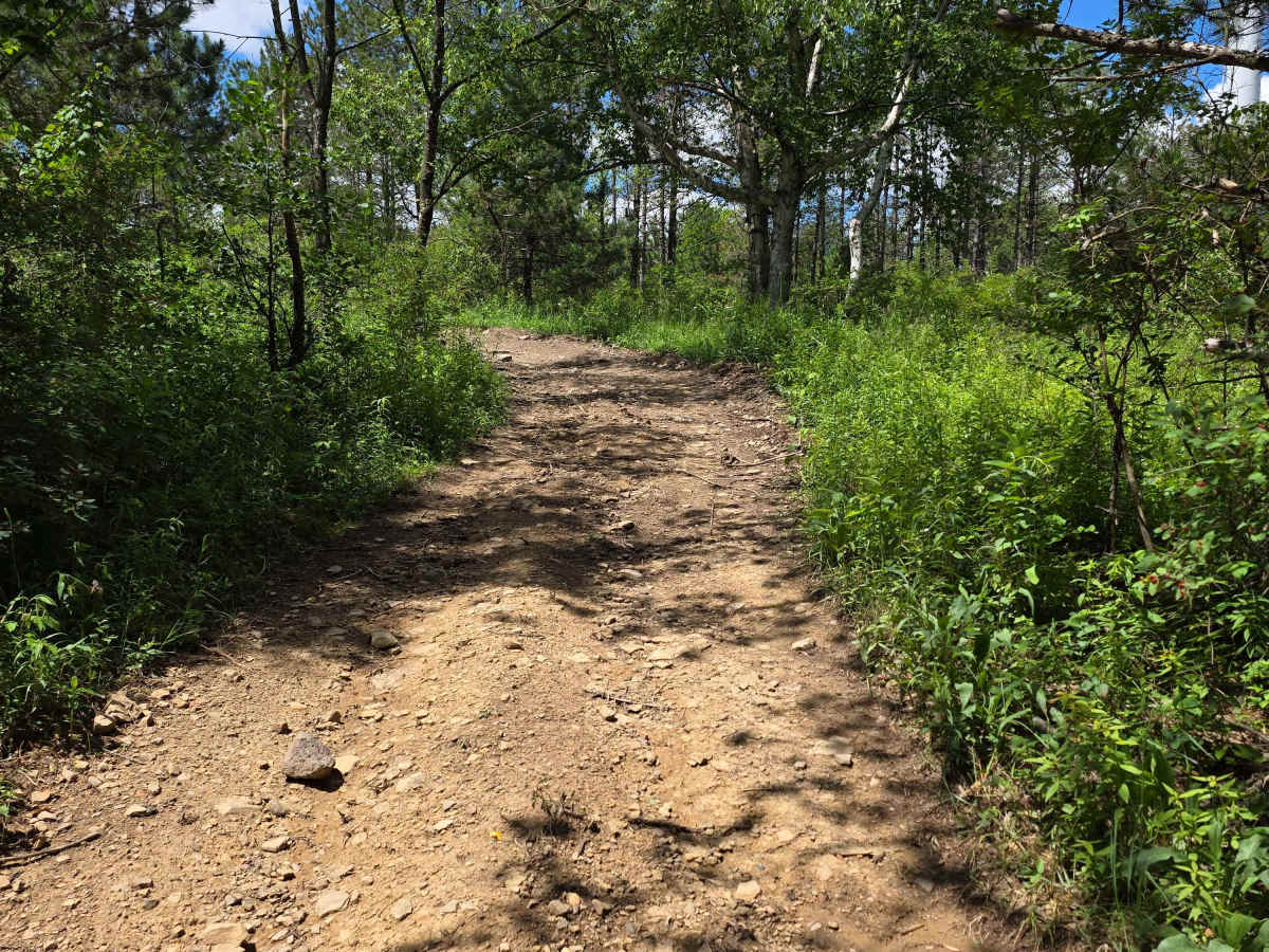 Single Track FF photo 2