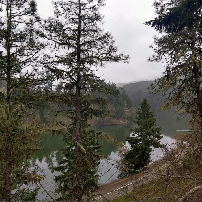 Near Cooper Creek Reservoir Trail