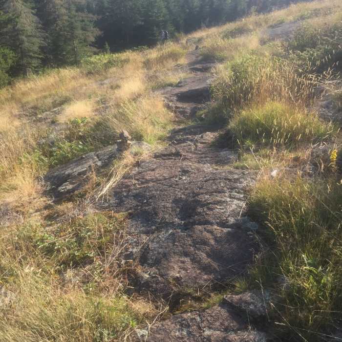 Near Mount Franklin Trail