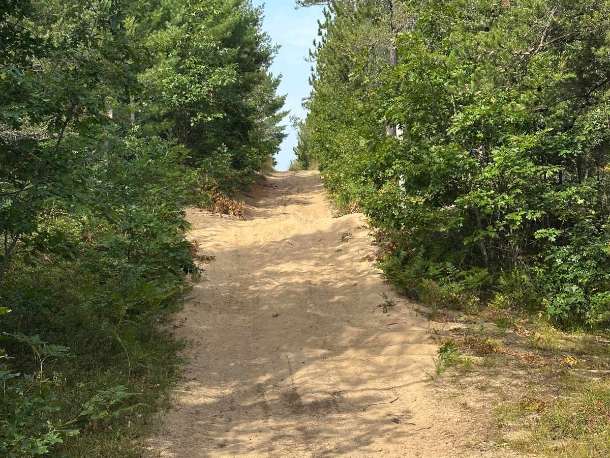 Pond Road  photo 4