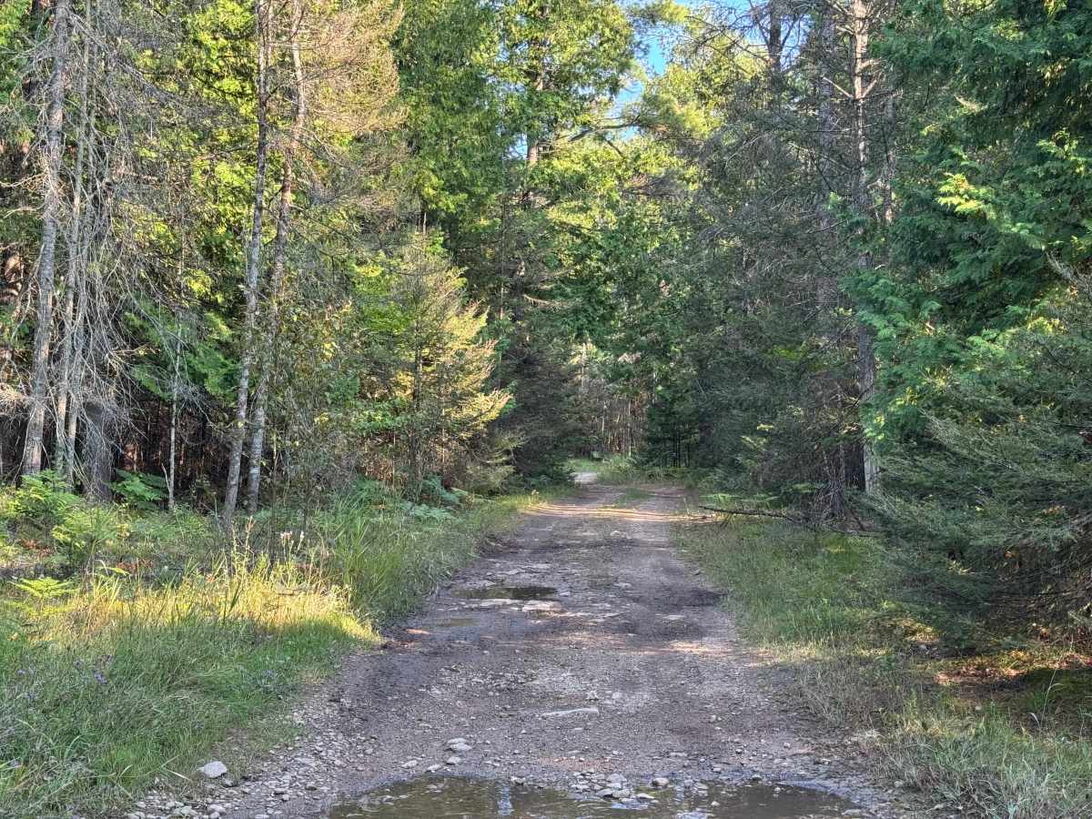 Island Isolation Trail photo 3