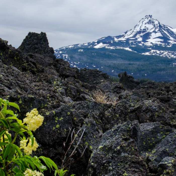 Near Little Belknap Crater