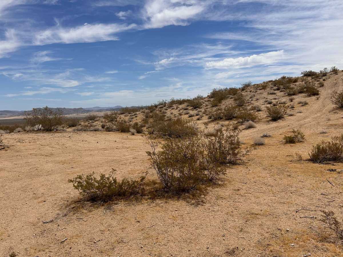 Echo Lost Wash trail photo