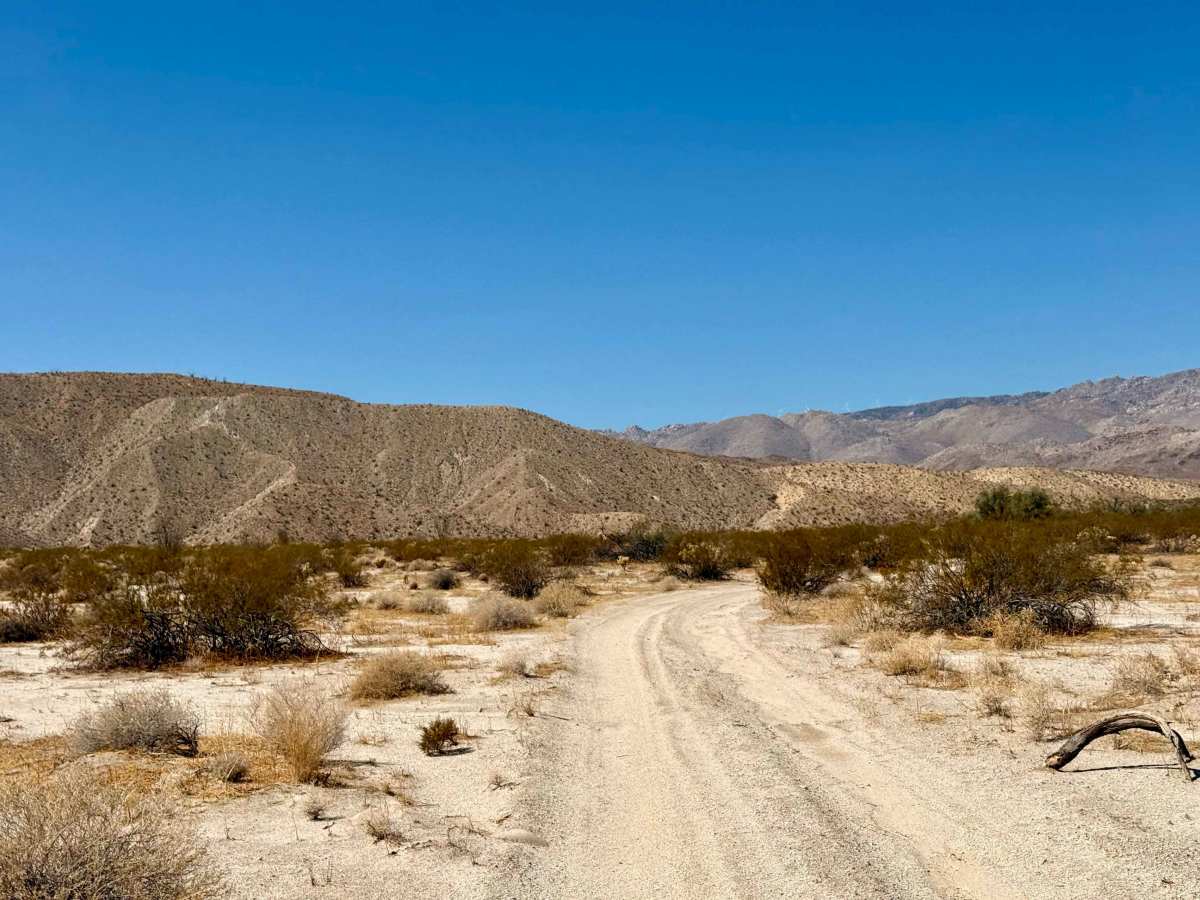 South Carrizo Creek photo 4