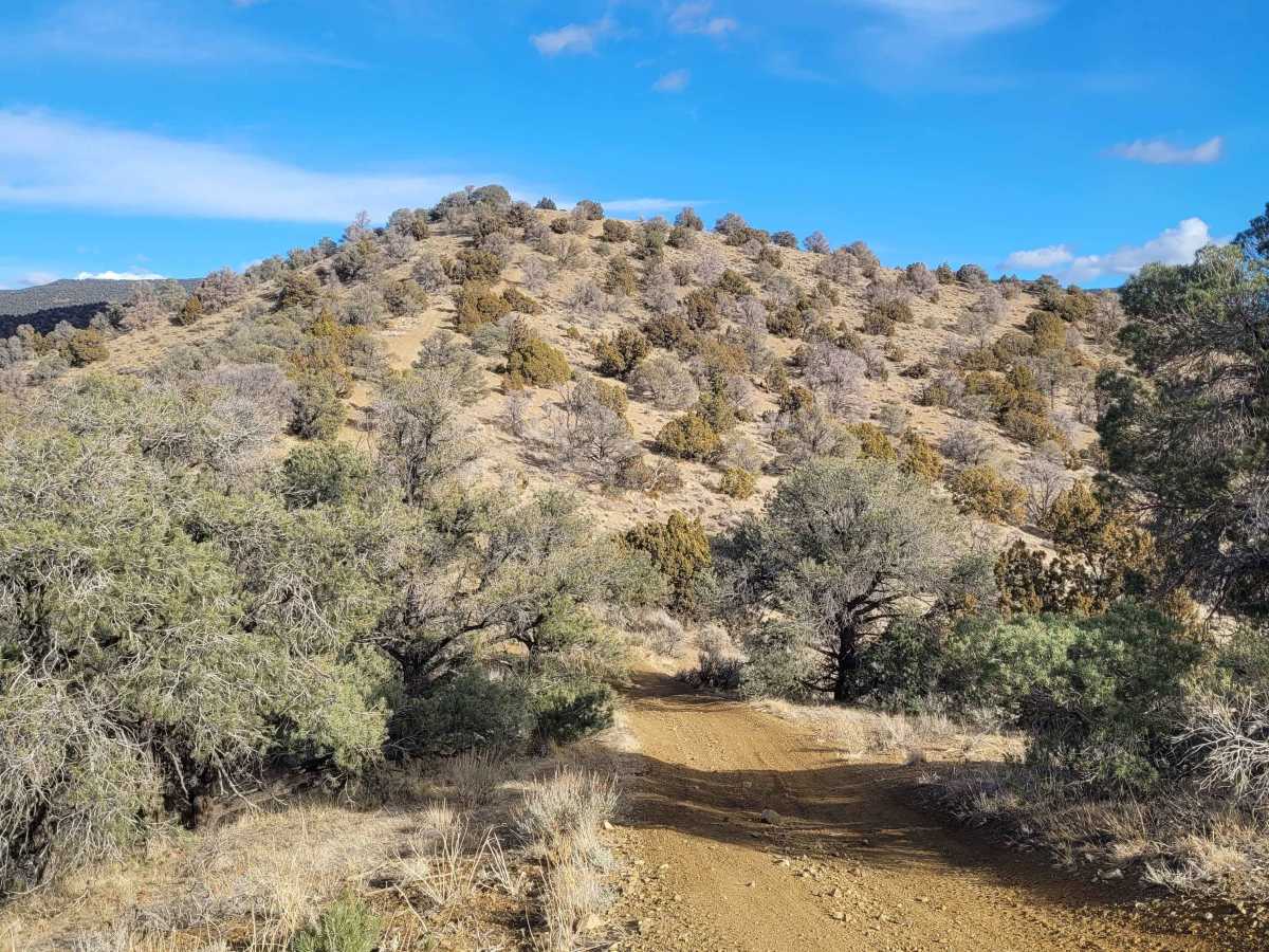 1947 Bunker Trail photo 2