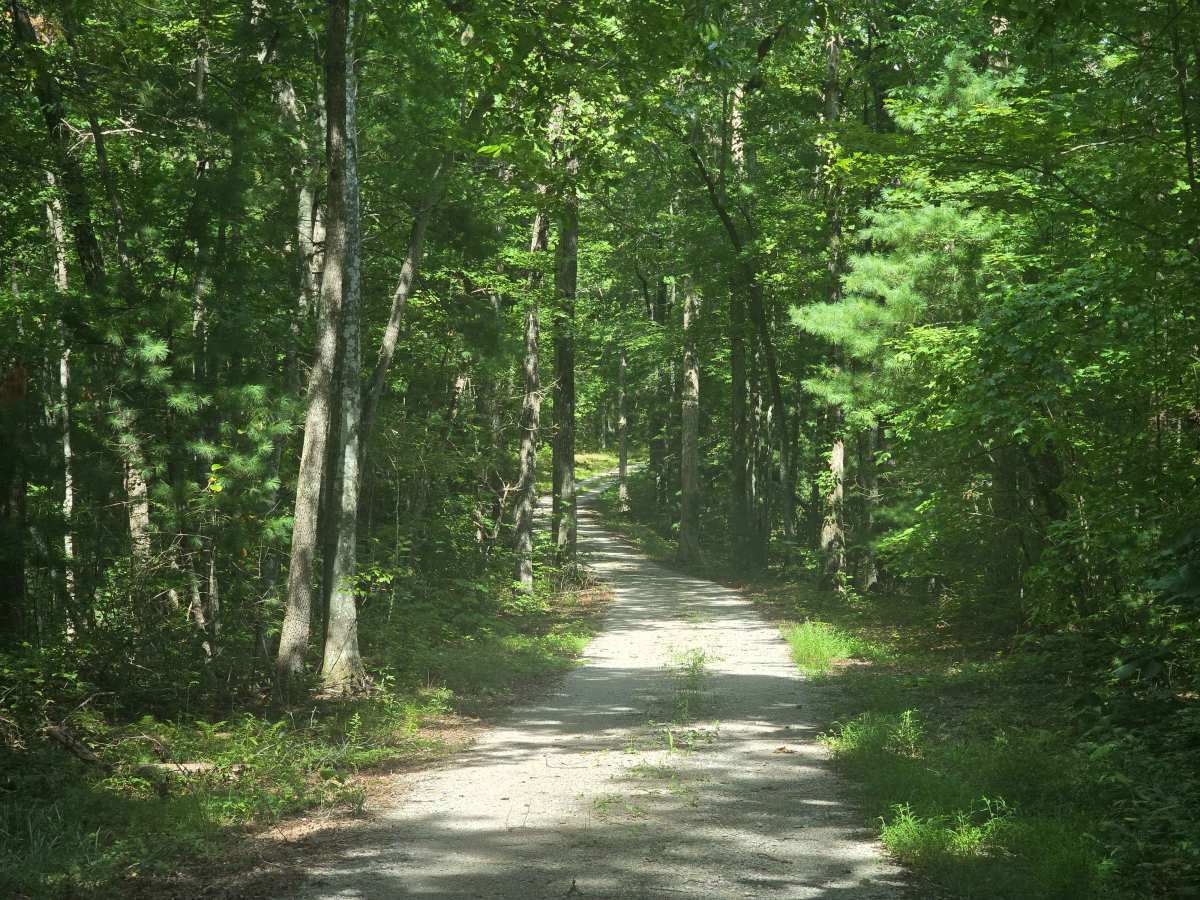 Ridge Road photo 2