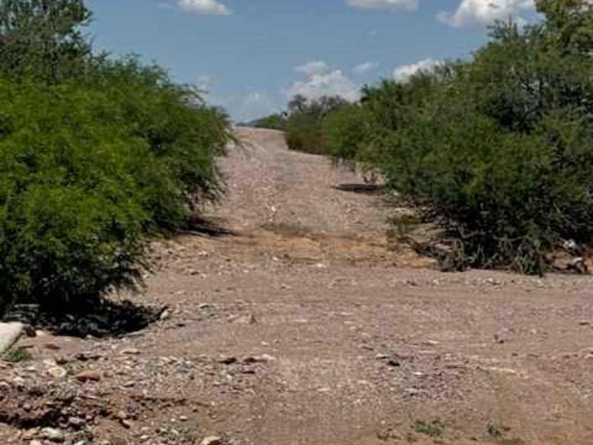 BLM PE1119 photo 2