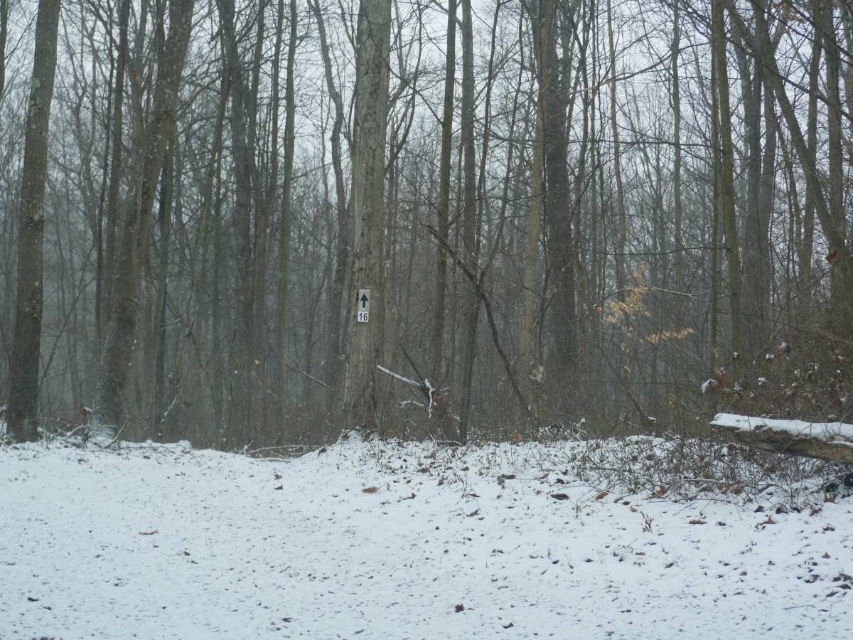 Trail 16 photo 2