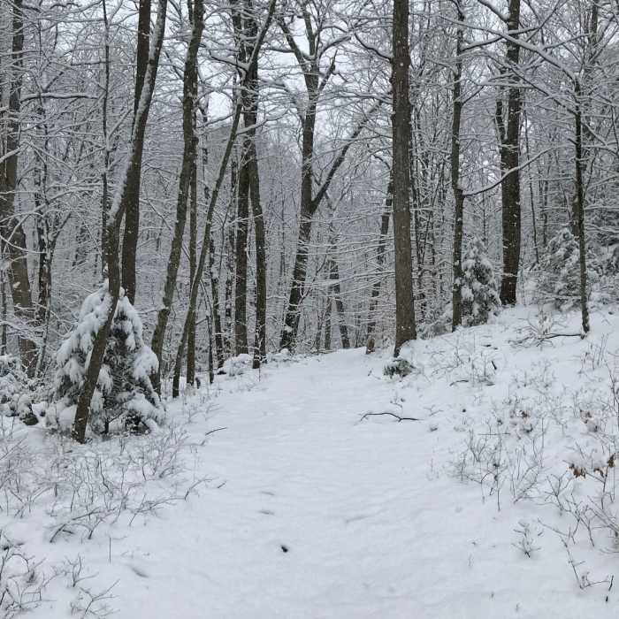 Near Mohegan Park Loop