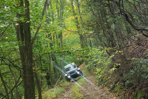 Coon Bridge