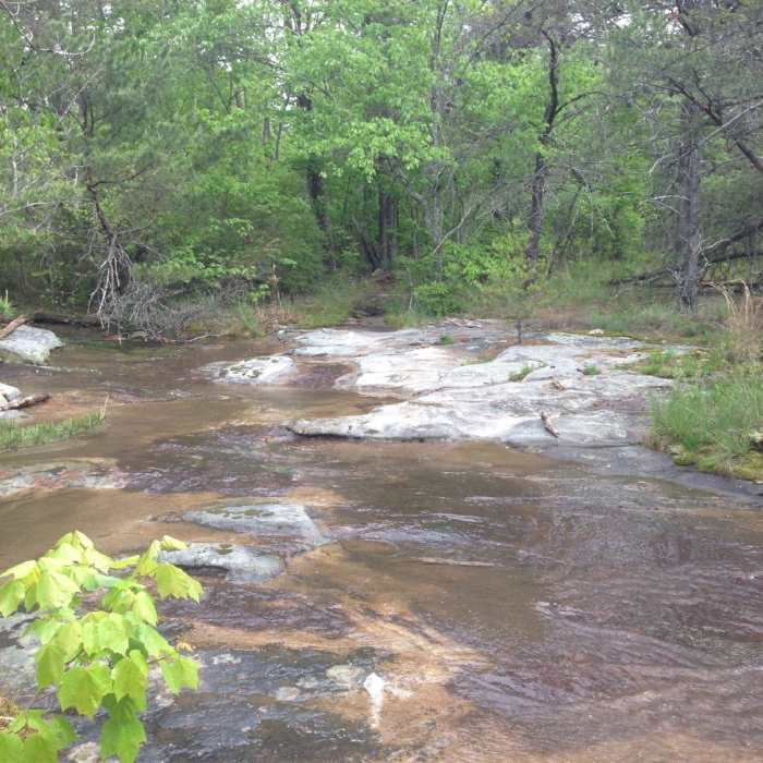 Near DeSoto Park Never Never Land Loop