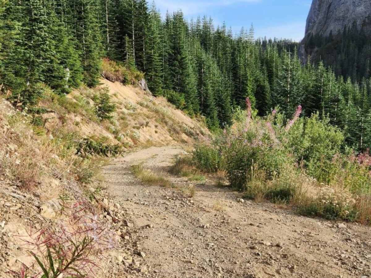 ZigZag Canyon photo 3