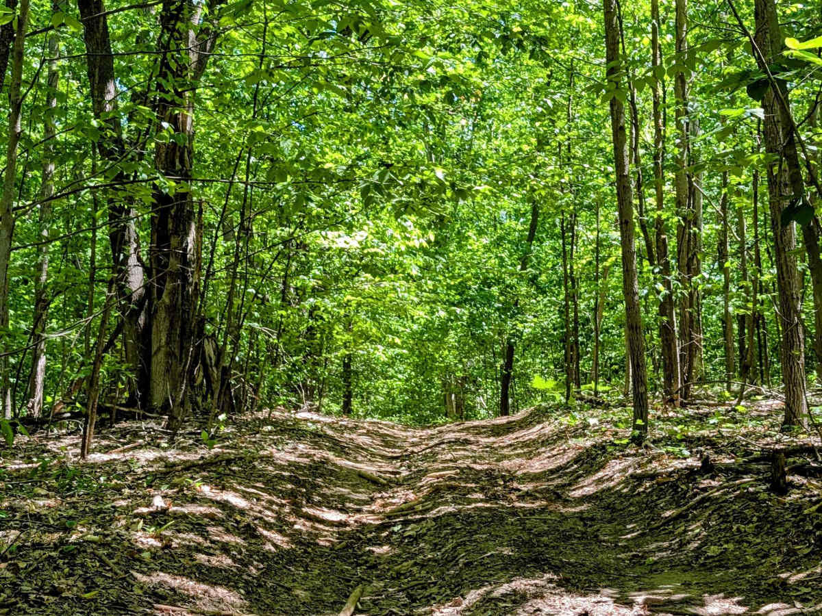 Simpson Trail photo 5