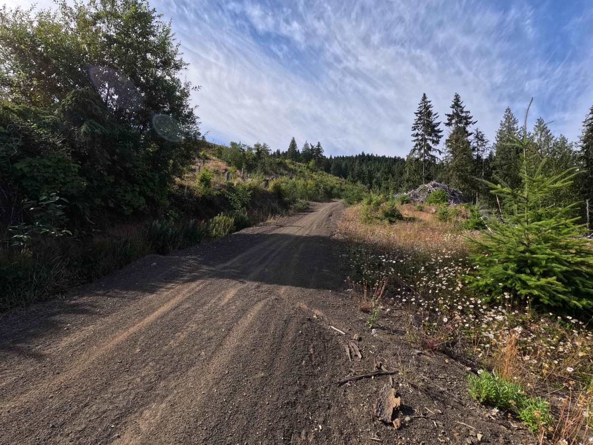Walking Horse Trail photo 5