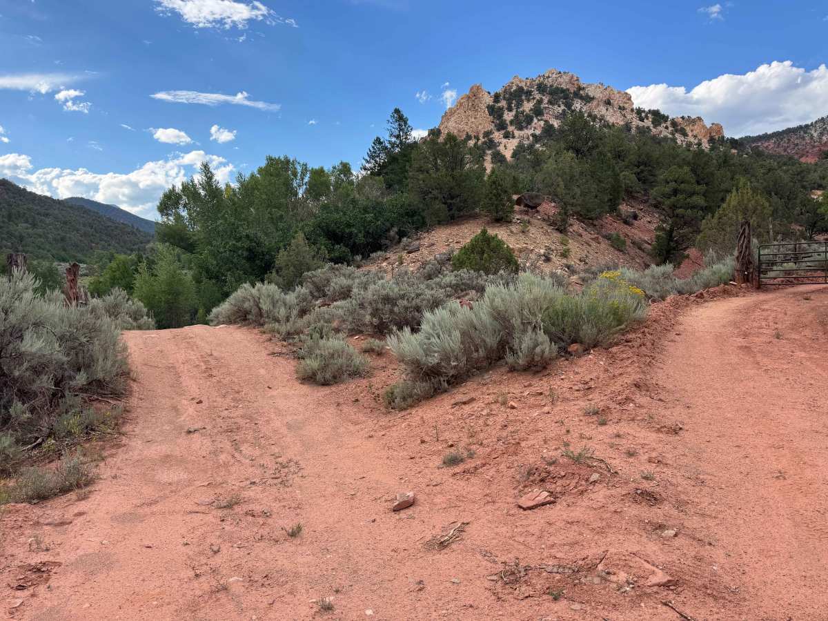 Red Dirt Basin Road - 611 photo 3