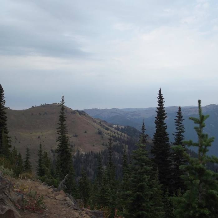 Near North Catherine Creek Trail + Cartwheel Ridge Loop