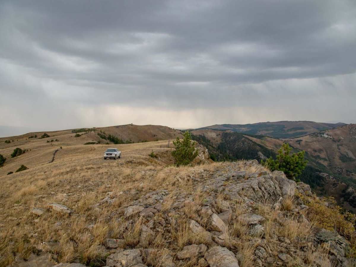 Logger Springs Road trail photo