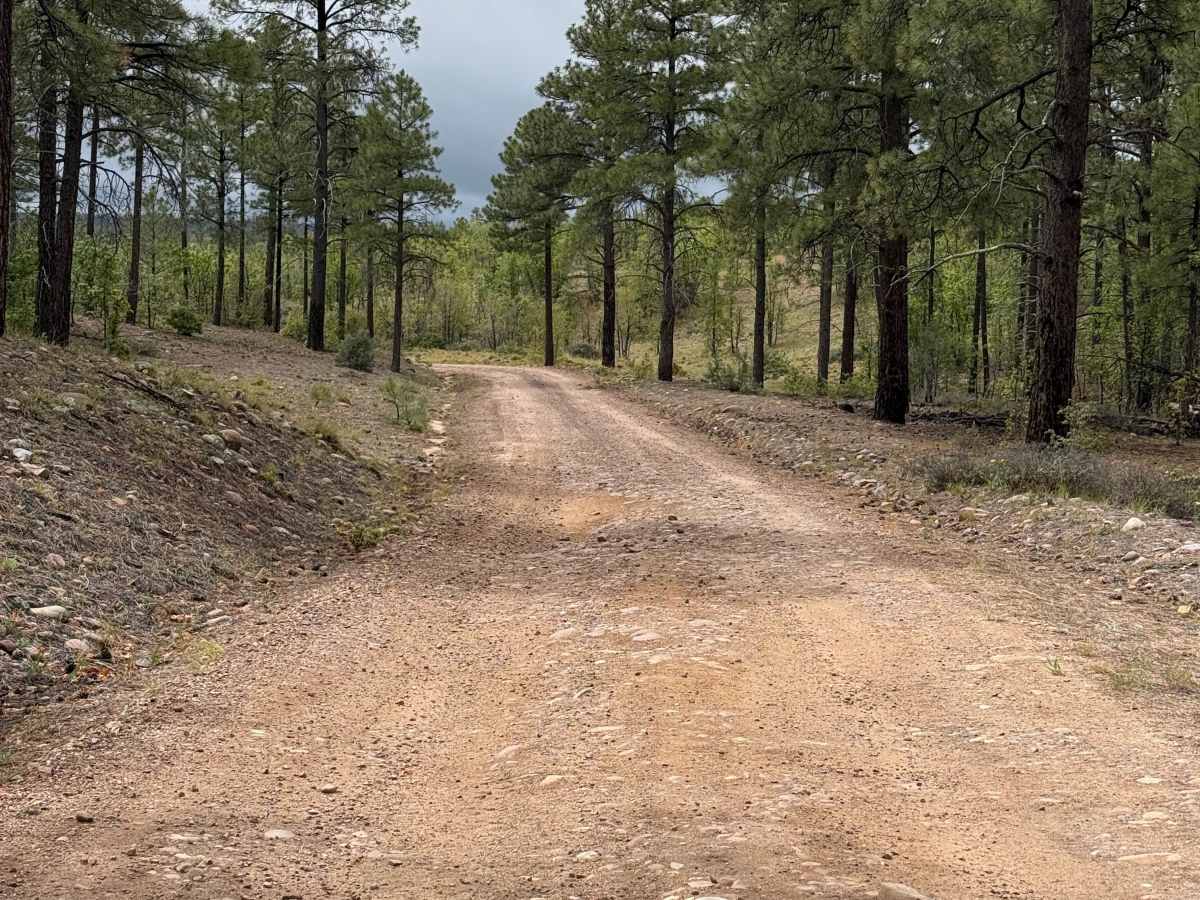 Water Canyon - FS 219 photo 2