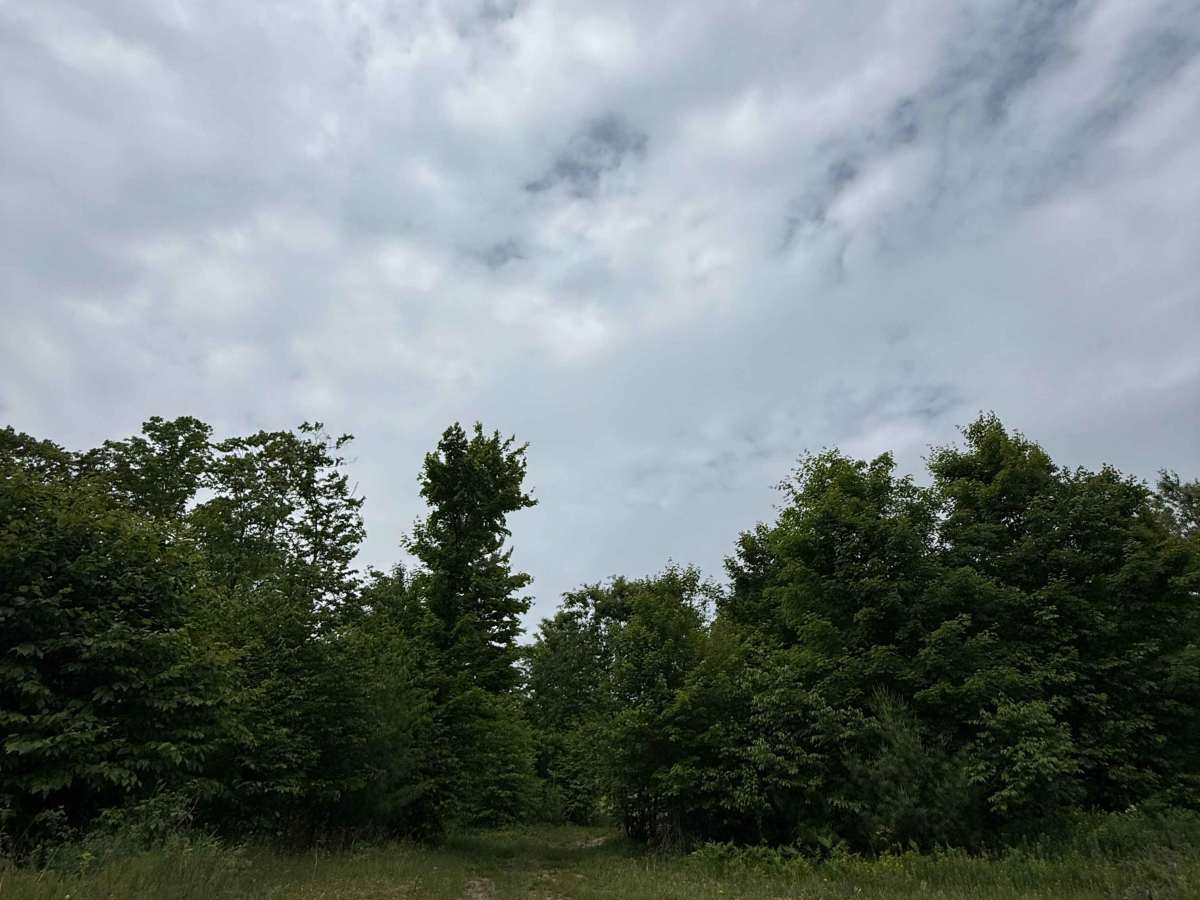 Bowman Trail West photo 2