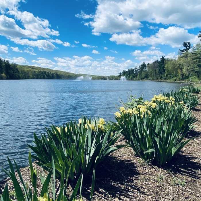 Near Zoo Loop