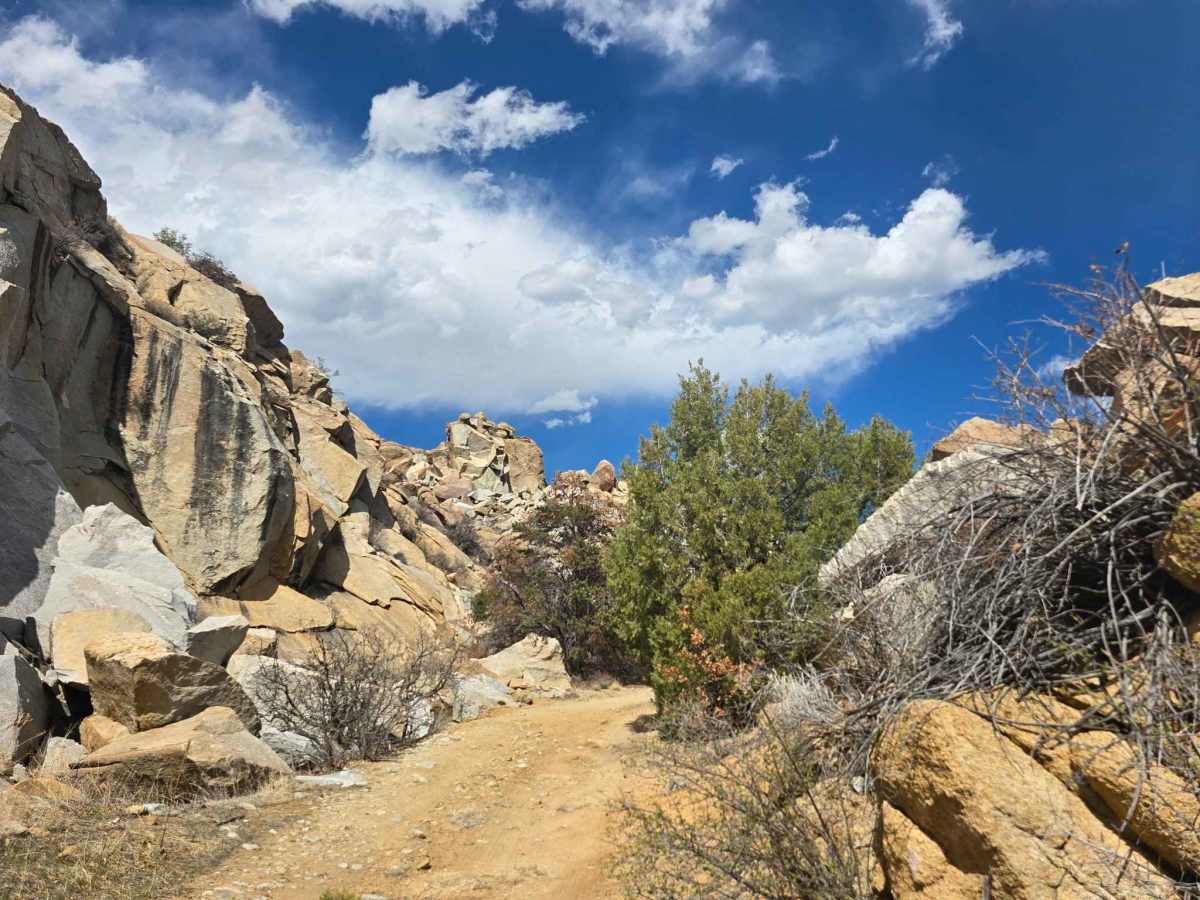BLM 6108 photo 4