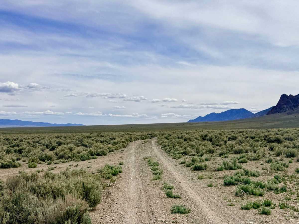 Jett Cutover trail photo