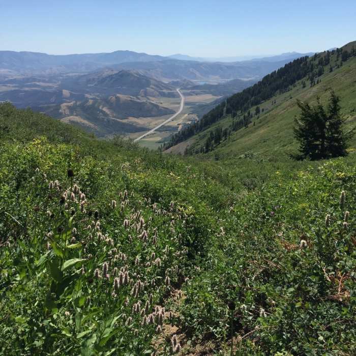 Near Wellsville Ridge