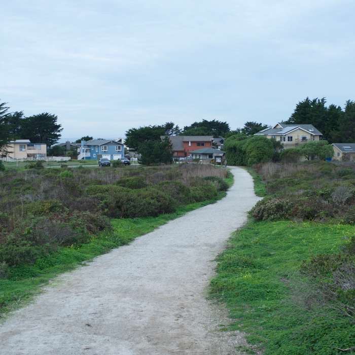 Near Pillar Point Bluff Trail