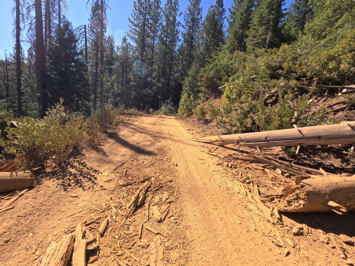 Bear Trap Springs Road - FS 69 photo 5