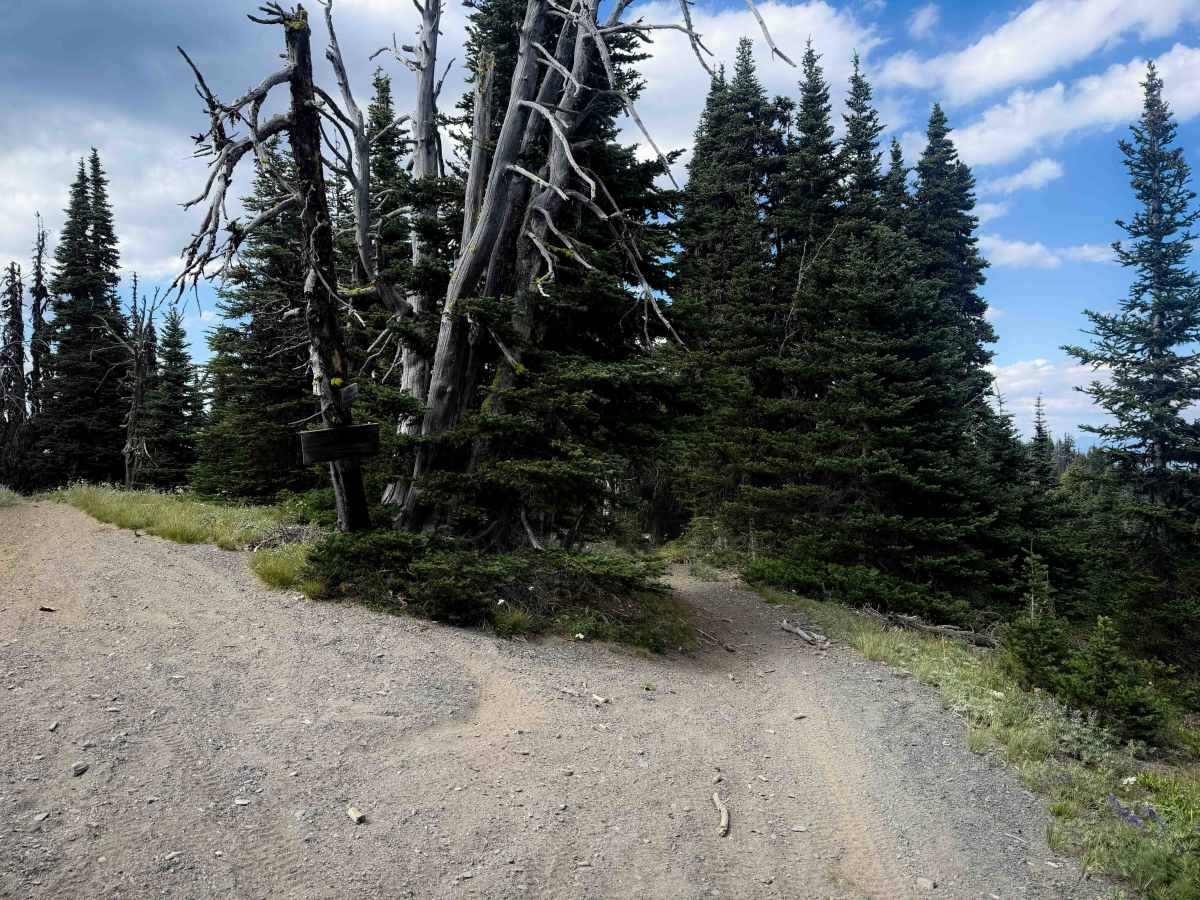 Taneum Ridge - FS 1363 photo 6