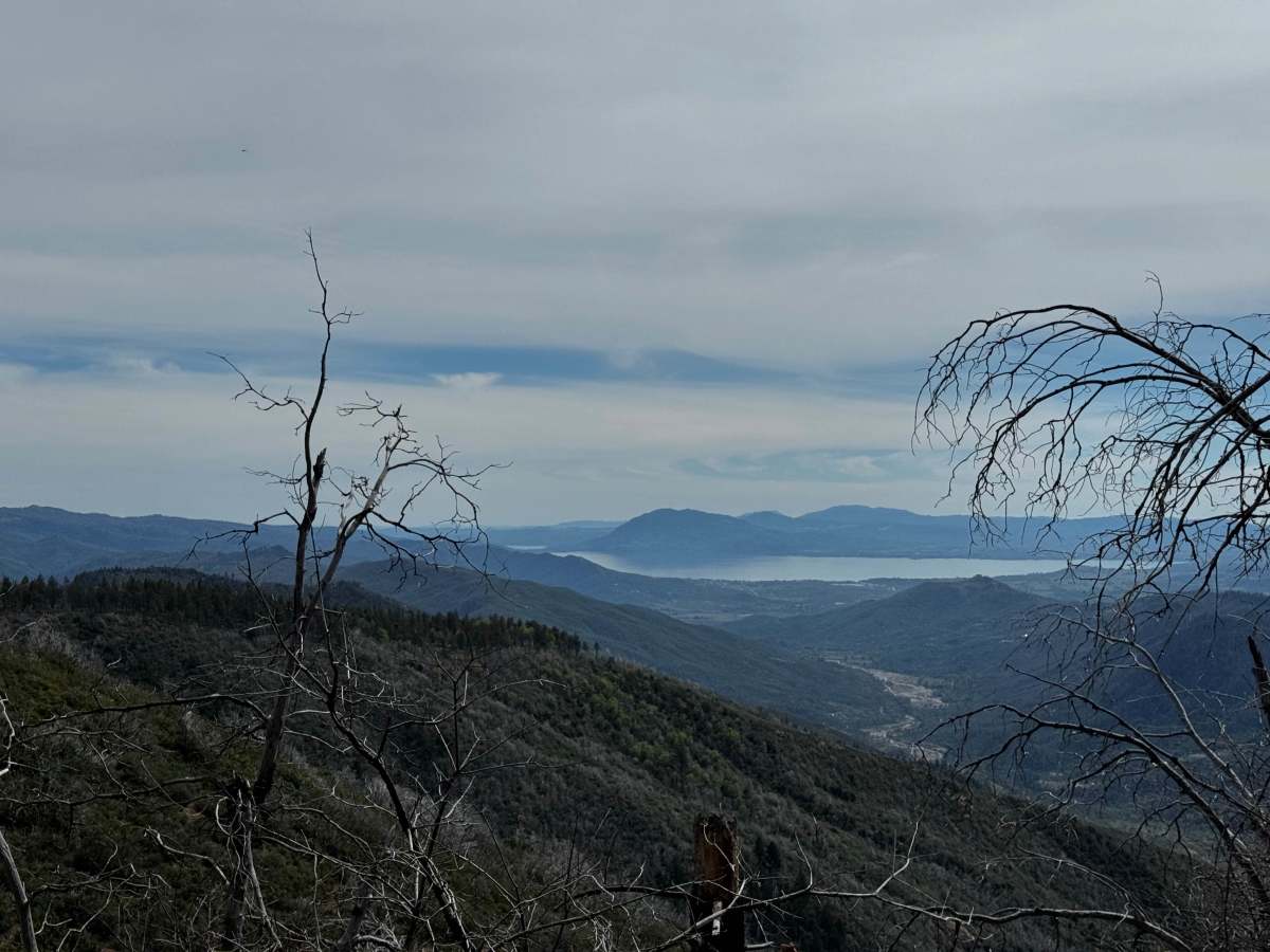 Horse Mountain Peak - FS 17N85 trail photo