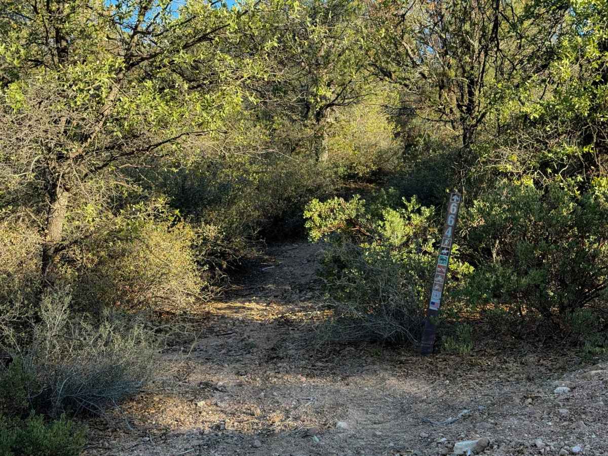 Cottonwood Spring #664  trail photo