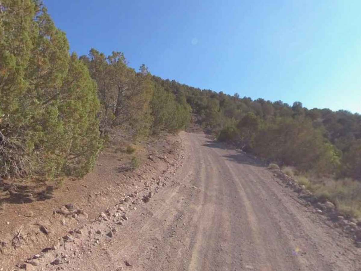 Bell Rock - PST40 photo 4