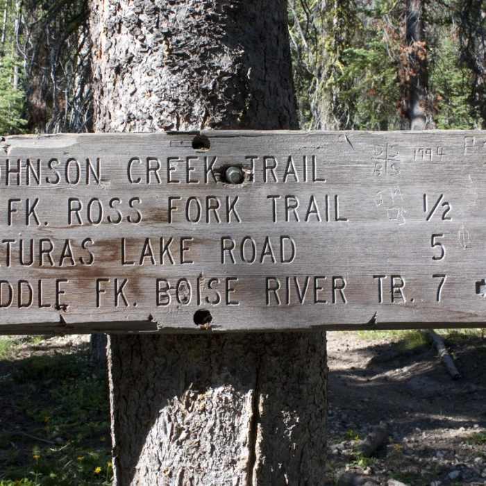 Near Alturas Lake Creek to Mattingly Divide Near Alturas Lake Creek to Mattingly Divide