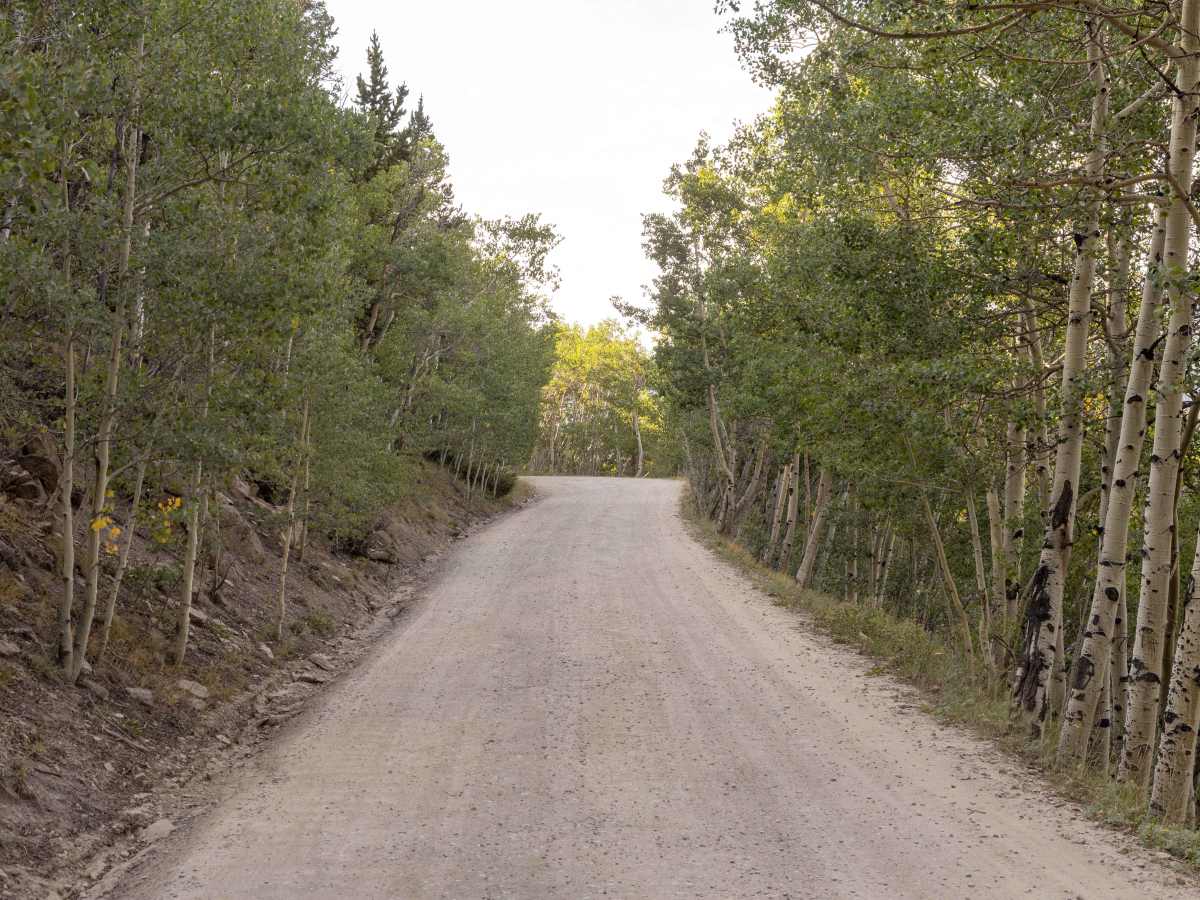 Boreas Pass photo 3